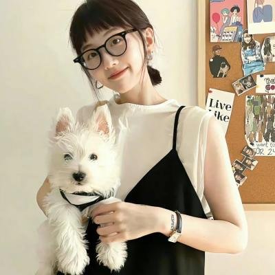 雅人韵事海报