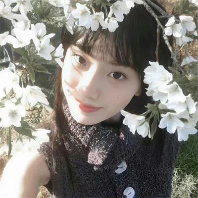 南下海报